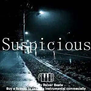 Picture for song 'Suspicious' by artist 'Reiver Beats'