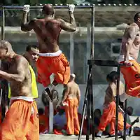 Picture for song 'JAIL MAFIA BEAT ' by artist 'Scary Boy Glofish'