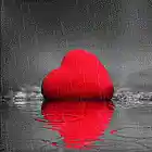 Picture for song 'Rain in my heart' by artist 'Thomas von Zig'
