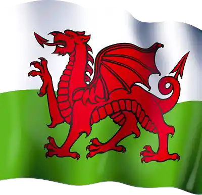 Picture for song 'Solyn Piano Cymreig Braf' by artist 'Tony William'