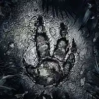 Picture for song 'X-Cell - Man vs Monster Ft Wickid & Unda Preshur' by artist 'Unda Preshur'