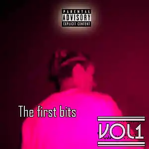 Picture for song 'Mental Image' by artist 'V.O.L 1'