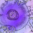 Picture for song 'Paradigma' by artist 'Daniel Eboli'