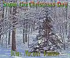 Picture for song 'Snow On Christmas Day' by artist 'James Michael Johnson'
