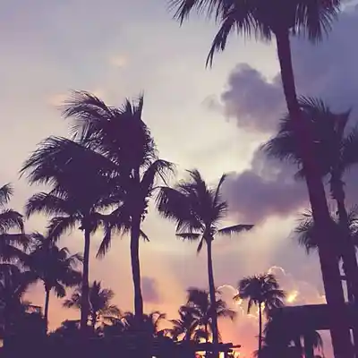 Song picture of '2010s Emotional R&B/Pop WITH CHORUS "Stay"'