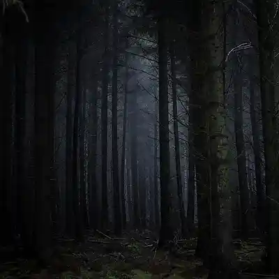 Picture for song 'Ken Carson x Juice WRLD Type Beat Revenge Piano' by artist 'lilmsbbeats'