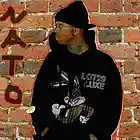 Picture for song 'Dear Spring' by artist 'NateTheGreat aka Nato'