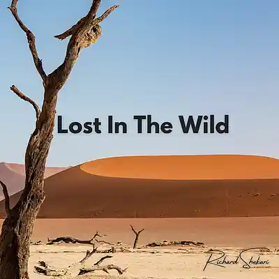 Picture for song 'Lost In The Wild' by artist 'Richard Shekari'