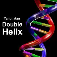 Picture for song 'Double Helix (2015 Remaster)' by artist 'Yahunatan'