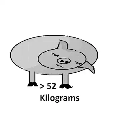 Picture for song 'The contented Swine' by artist 'Artist Bearhawk'