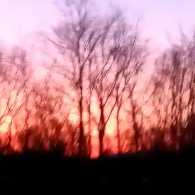Picture for song 'Sherbet DUSK' by artist 'Beat Masta Cheese'