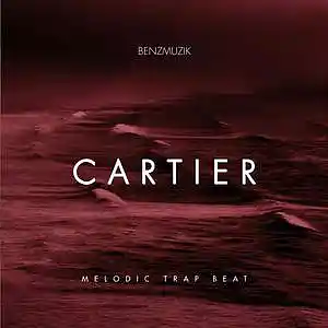 Picture for song 'Cartier (Buy 1 Get 4 FREE) 314' by artist 'BenzMuzik'