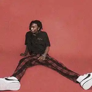 Picture for song 'city lights (playboi carti type beat)' by artist 'cashnitro'