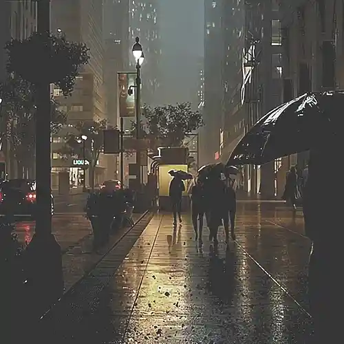 cover pic
