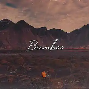 Picture for song 'Bamboo (Free Download)' by artist 'Frankenstein Beats'