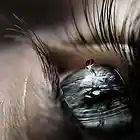 Picture for song 'Dont Cry *R&B(prod.by M.S.I)' by artist 'Mixed Signals Instrumentals'