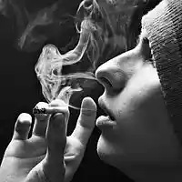 Picture for song 'POT FACE' by artist 'SEAN CHRIST'