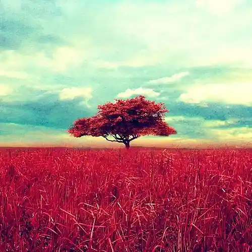 Picture for song 'Blue Kangaroos' by artist 'TAO9'