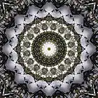 Picture for song 'The Other Dimension' by artist 'Alexandre Falcao'