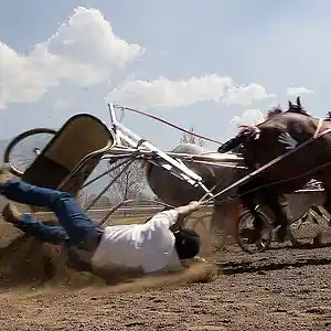 Picture for song 'Swing Low Sweet Chariot' by artist 'Ucancallmeal'