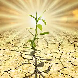 Picture for song 'Whoah!' by artist 'CHRISTIAM DISCIPLE'