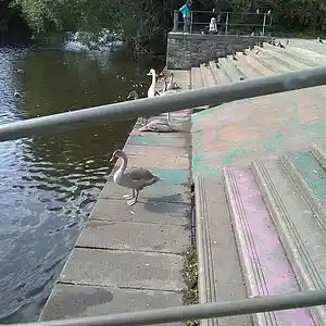 Picture for song 'Stranger on the shore' by artist 'Clivey Macdougall'