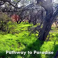 Picture for song 'Pathway to Paradise' by artist 'D E Farmer'