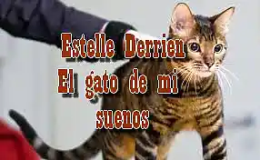 Picture for song 'El gato de mi suenos - Instrumentale Mezcla fallid' by artist 'Estelle Derrien'