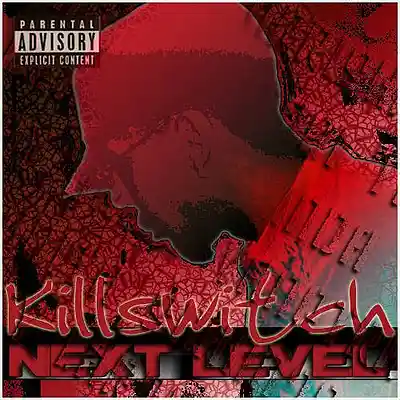 Picture for song 'Fireworks feat Bristow' by artist 'kmgkillswitch'