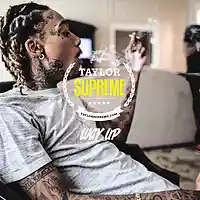 Picture for song 'Way Up (Wiz Khalifa)' by artist 'Taylor Supreme'