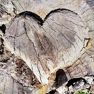 Picture for song 'Imperfect love' by artist 'Andy Kockelkoren'