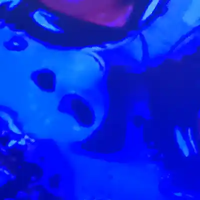 Picture for song 'FASTER KILL PUSSY CAT' by artist 'AZRAEL -YUK -'