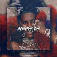 Picture for song 'Hop On The Wave ' by artist 'Cashualbeats'