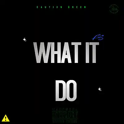Picture for song 'WhaT It Do' by artist 'CautixnGreen'