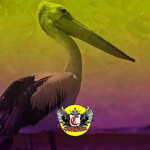 Picture for song 'PELICAN (Gunna Lil Baby Type Beat)' by artist 'Chorderline'