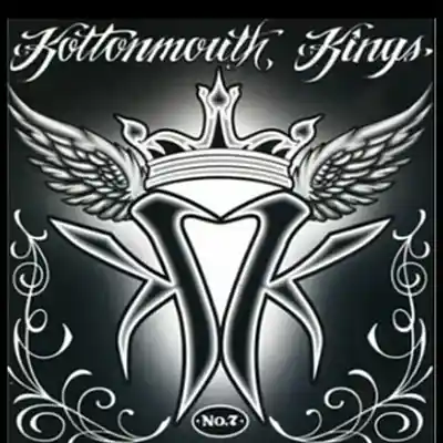 Picture for song 'putthepipedownkmkem2brealsendog' by artist 'Eminem 2'