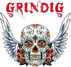 Picture for song '01 OIOIOI' by artist 'Grindig'