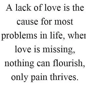 Picture for song 'Cause of Love' by artist 'Jammer59'