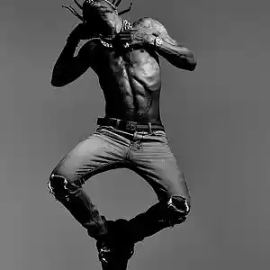 Picture for song 'Moonlight (FREE DL)' by artist 'Paperfall Bros'