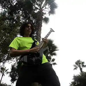 Picture for song 'Vamos a celebrar' by artist 'ricardo roa'