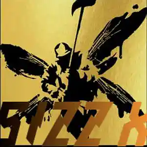 Picture for song 'The journey in the end sizz remix' by artist 'SIZZ X'