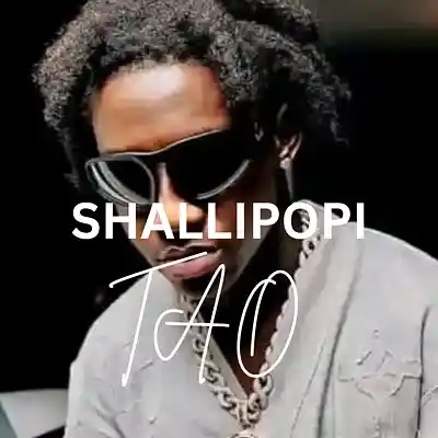 Picture for song 'FREE Shallipopi x Rema x Asake - TAO Amapiano Type' by artist 'Trentvibez'