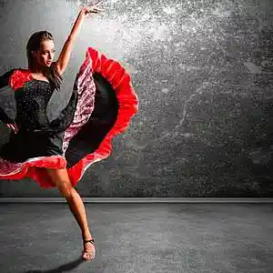 Picture for song 'Valdis Beatz Latin Non Stop' by artist 'Valdis Beatz'