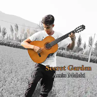 Picture for song 'Secret Garden' by artist 'Amin Maleki'
