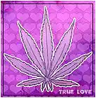 Picture for song 'Smokey Streets' by artist 'Apex Predator'