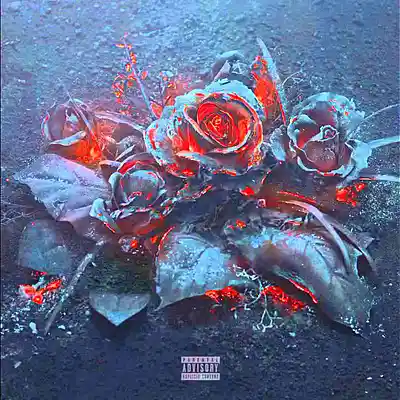 Song picture