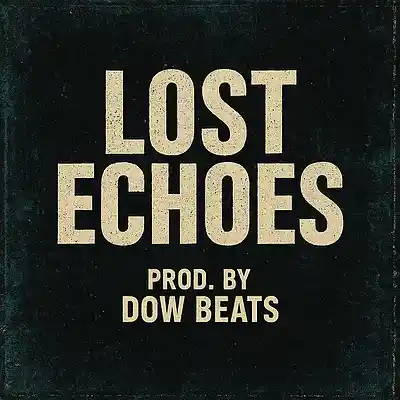 Picture for song 'Lost Echoes' by artist 'Dow Beats'