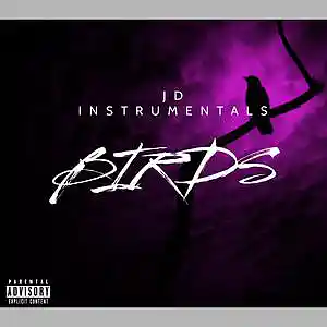 Picture for song 'Birds 155bpm' by artist 'Jd Instrumentals'