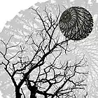 Picture for song 'Sinuous contrasts' by artist 'Juefawn'