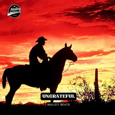 Picture for song 'UNGRATEFUL [COUNTRY POP TYPE BEAT]' by artist 'Malley Beats'